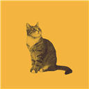 VSCodeMarketplace profile picture for @Tabby